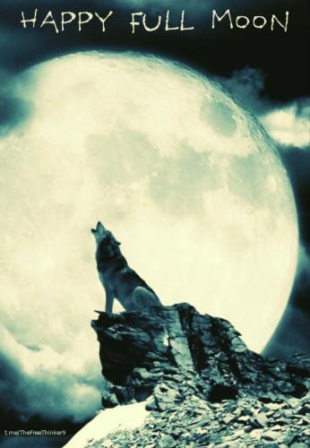 photo_2025-01-15_17-03-29