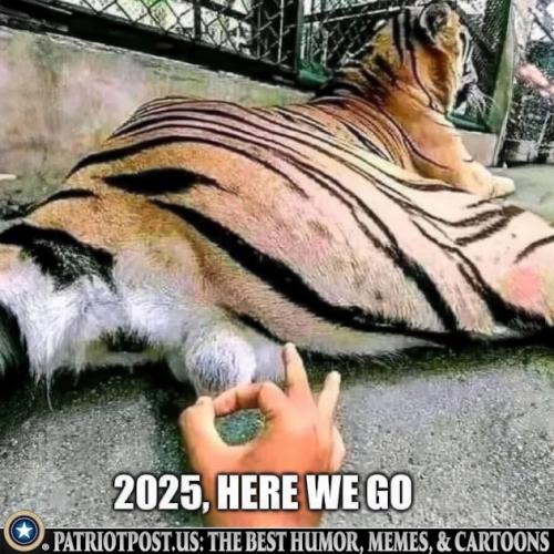 01JH0GZWMGWJHGNDFR712YQEES