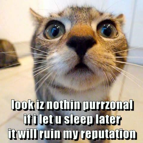 the-real-reason-your-kitties-wake-you-up-in-the-middle-of-the-night