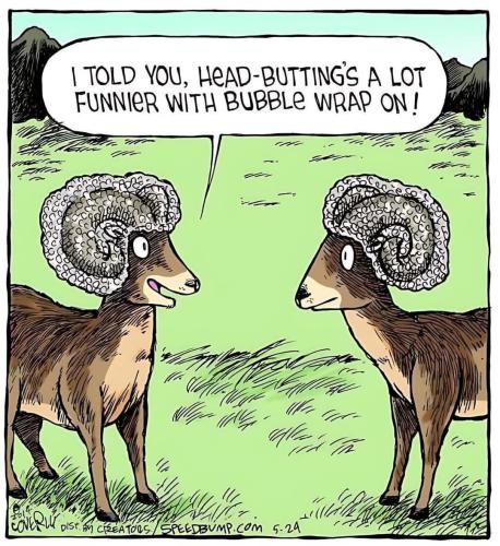 FB_IMG_1737917416868