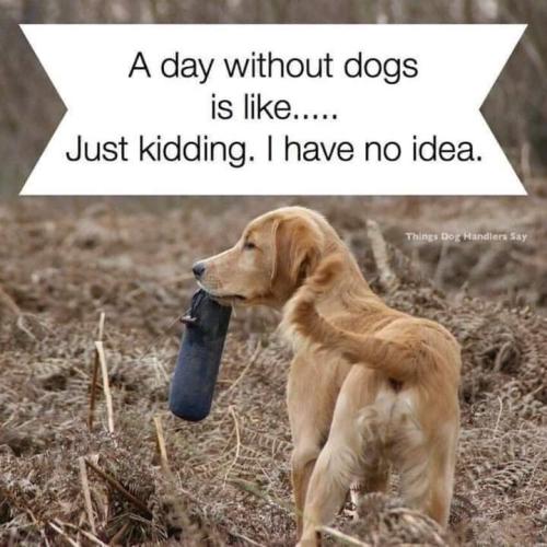 b08b66e3a49eebe19cf2cba288d9ec2f