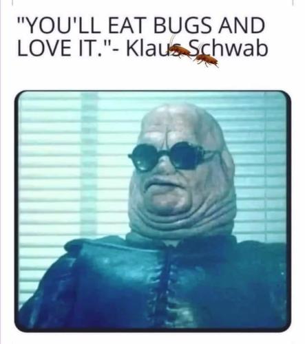 c390333b-d691-460b-b770-22a87fde1c81