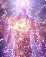 ,       ,        423193798_7468111