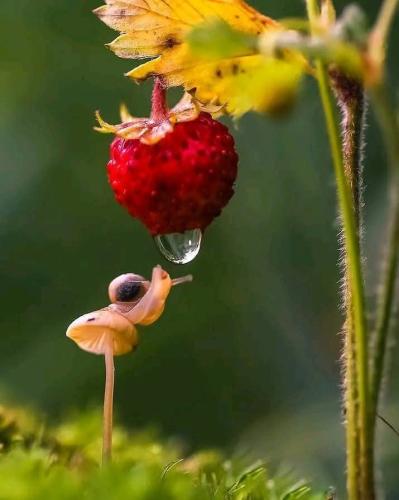 FB_IMG_1738085715479