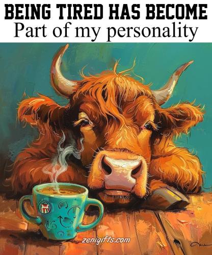 FB_IMG_1736524468627