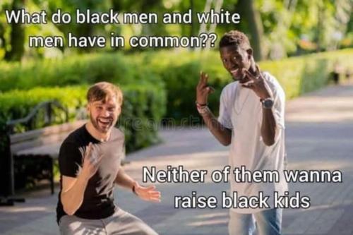 image_D599A557-0139-41D4-9E07-302A3C5224BB