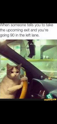 Screenshot_20250126_105822_Gallery