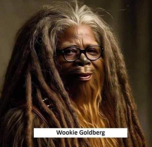 Wookie Goldberg.960px