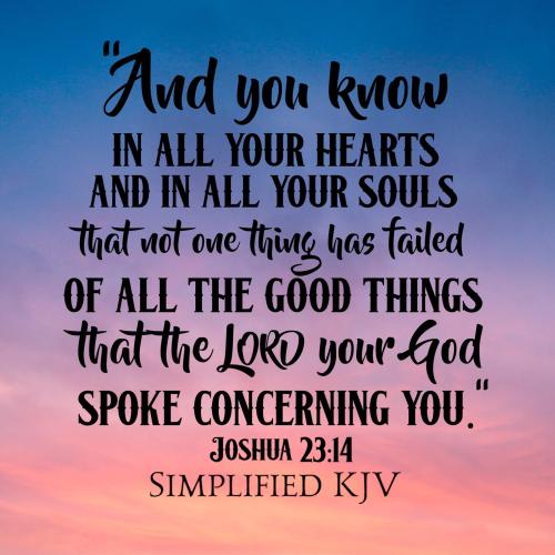 472553737_1008483761314698_4469364938851970352_n