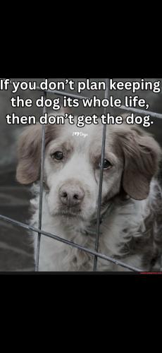 Screenshot_20250102_192036_Gallery