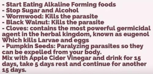 Image 20-02-2024 at 11.46