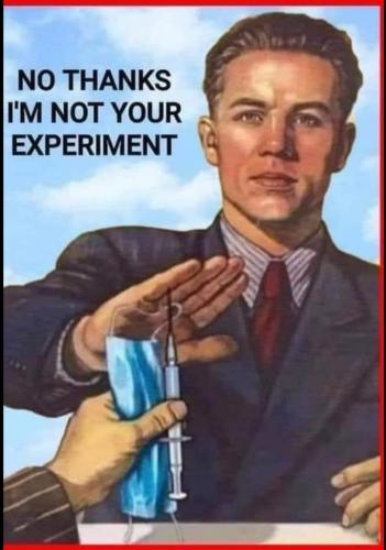 E17E8031-39D9-4BE1-8BA5-BEBEF57672B5