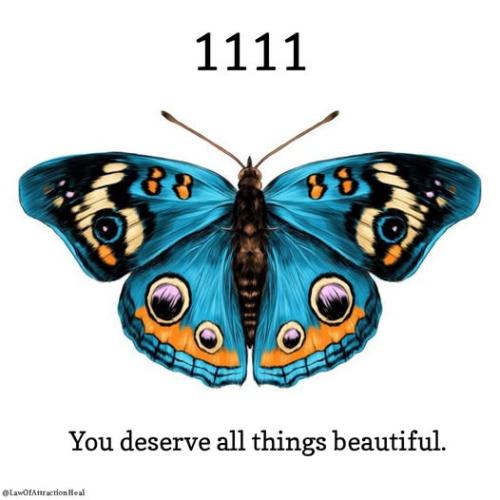 475276452_122151247838330948_1185269751796017138_n
