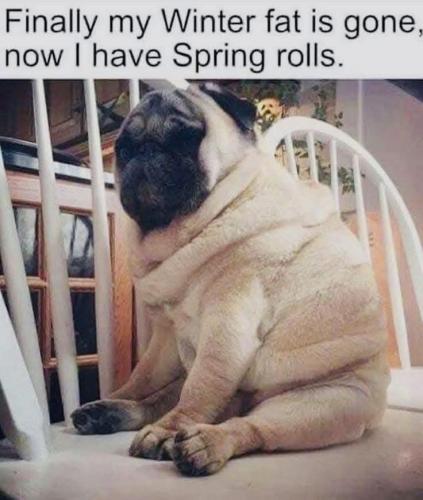 FB_IMG_1736772887285