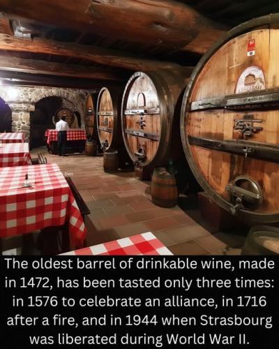 469824116_527202220354791_7786646626753513112_n