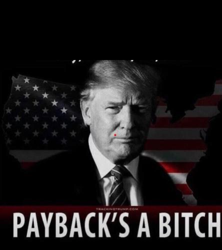 Screenshot_20250106-111838_Wimkin Free Speech Social Media