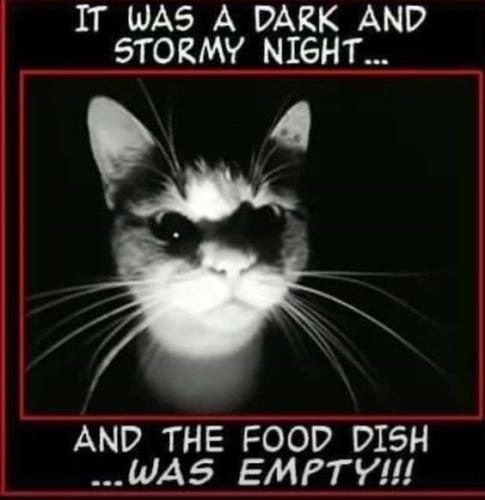 d9da7627da9eb3f798ccefa2e0e51bef