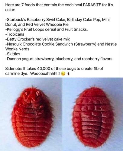 photo_2025-01-29_21-10-46