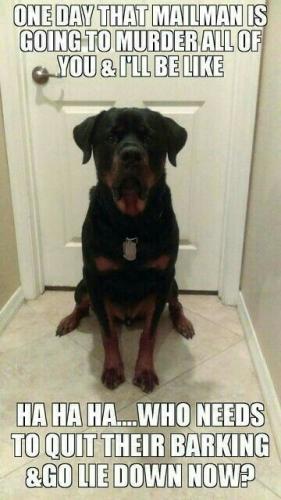 4fadb55d4f36d05e4eb52a9e6dc1f18e