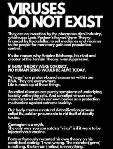 FB_IMG_1737130807622