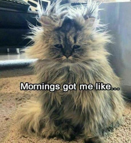 03b14706371cf83ce7b607c5aa353be0