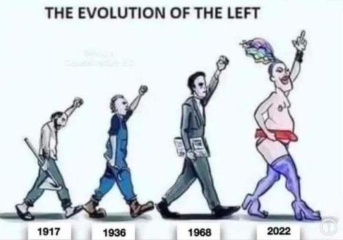 image_8C1B3A19-B7D4-4E21-8B56-F4A1DF9C9BF0