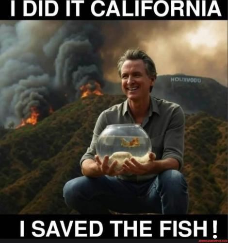 a4ea77bb455f03e67449669212f4cbe777e4a344e87a978ec752950649f7ff2b_1