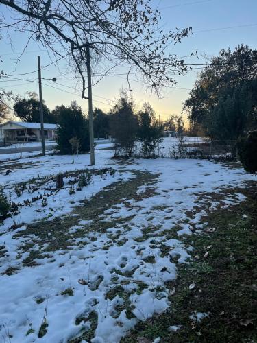 A39892D6-7A54-495E-AED5-DE568A174A12