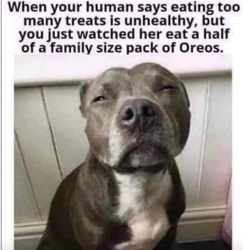 6AAFB47F-01E2-4118-832C-474198831CD6