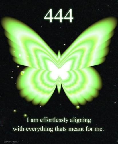473758241_122185329380105904_425044803962612859_n