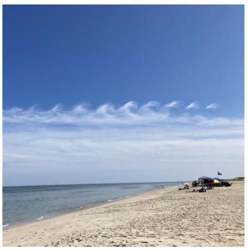 bec5e21a-d0c7-475a-969a-4f5b51409e74