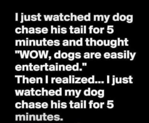 30772463-86EF-4EB2-9FA1-05A460D5783A