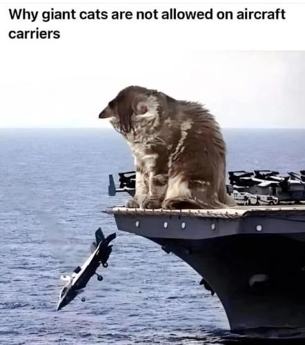 FB_IMG_1736875179444