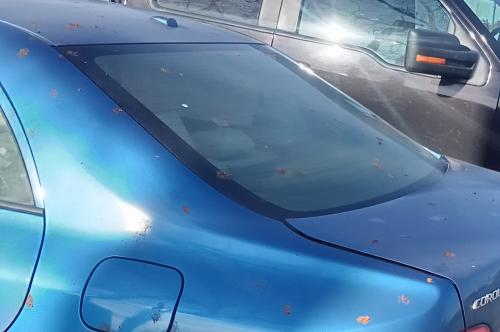 IMG_20250102_130708~2