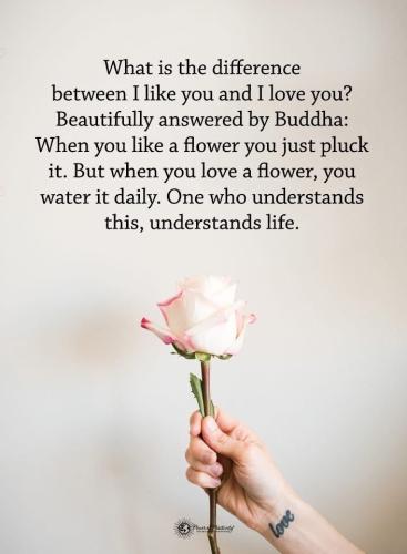 CB54A453-FB7B-40B6-9CC1-984E40082D8D