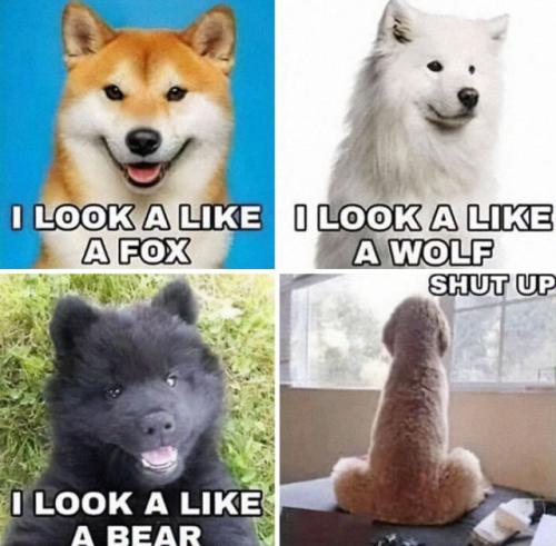 e0ebc27529896956320ba2ed682a0250