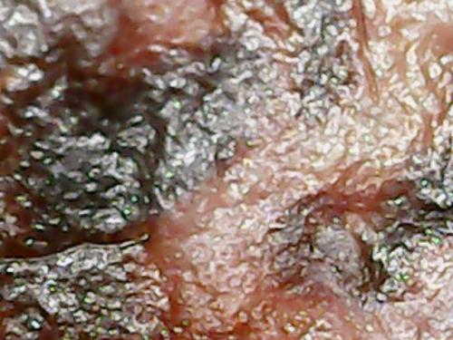 SPINE BASE HYDRO GEL PROGRESS (4)