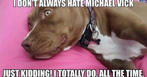 zQWaujKtbODGqVnkRR24dSVTPwr4aAomQsXUehosqoo