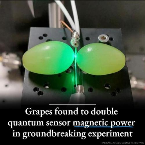 ce65c79c-1b31-466d-8789-325cc9081e94