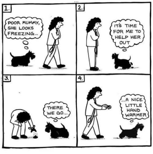 FB_IMG_1736525708252