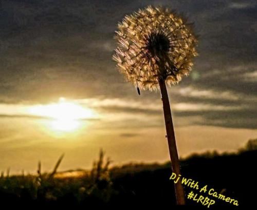 Screenshot_20250128_184427_Gallery