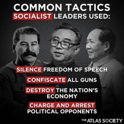 Socialist Tactics