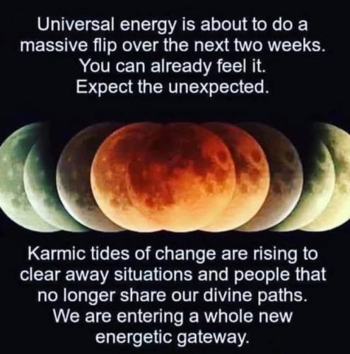 FB_IMG_1736605790582