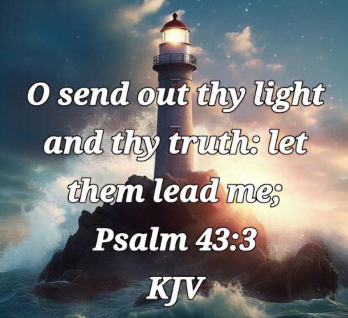 04cb6270-ca09-46a8-838c-9b03ae4ee9f8