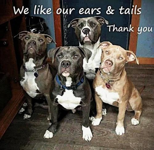 ee61d23dccddf4d65aaf3bcc7950e17e