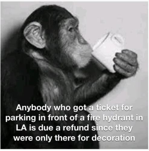 Screenshot_20250117_125927_Brave