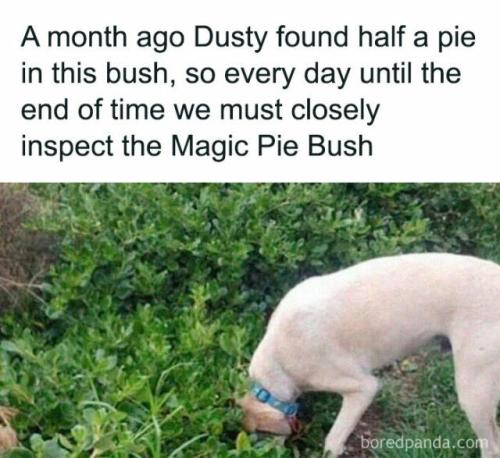 f0ed4eebd2a2a134fbff9b64d56efd66