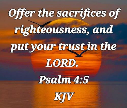 b7c59a75-3f22-4cf9-8c8b-f3dce1a92da5