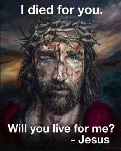 6b644da4-4b11-4910-b155-e282a92d9d9e