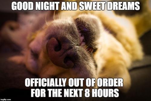 5c9f39a82a0ed6346b7248978c4dfd8a